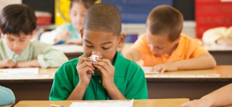 Il brutto effetto del polline sui voti