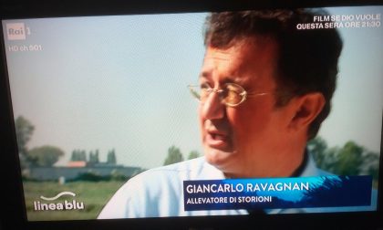 Il caviale di Calvisano su Rai1