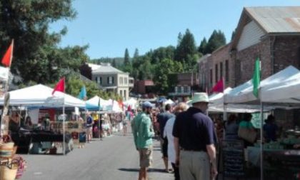 In California a tagliare cannabis legalmente