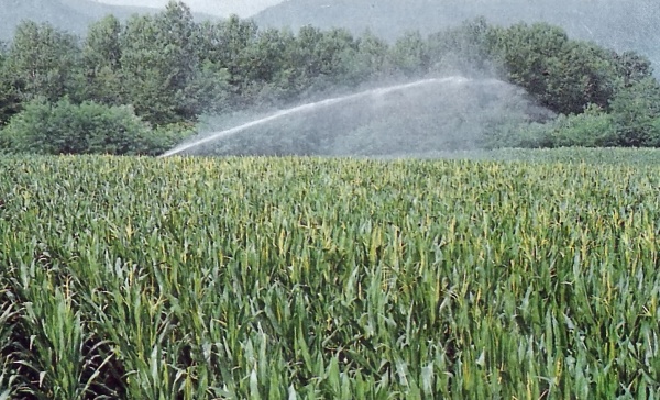 Incentivi per le piccole imprese bresciane