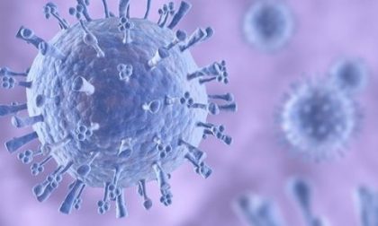 L'influenza tra 10 anni potrebbe non esistere più