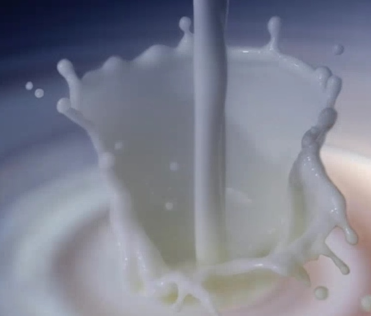 Latte e formaggi di qualità, Facchetti: “Giusto prezzo e reddito delle imprese agricole le nostre priorità”