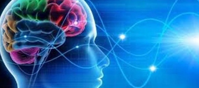 La personalità non si forma, è scritta nel cervello