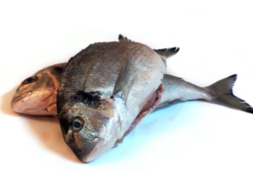 La ricetta della sera: BRANZINO ALL’OLIO DI SEMI CON VONGOLE E POMODORINI