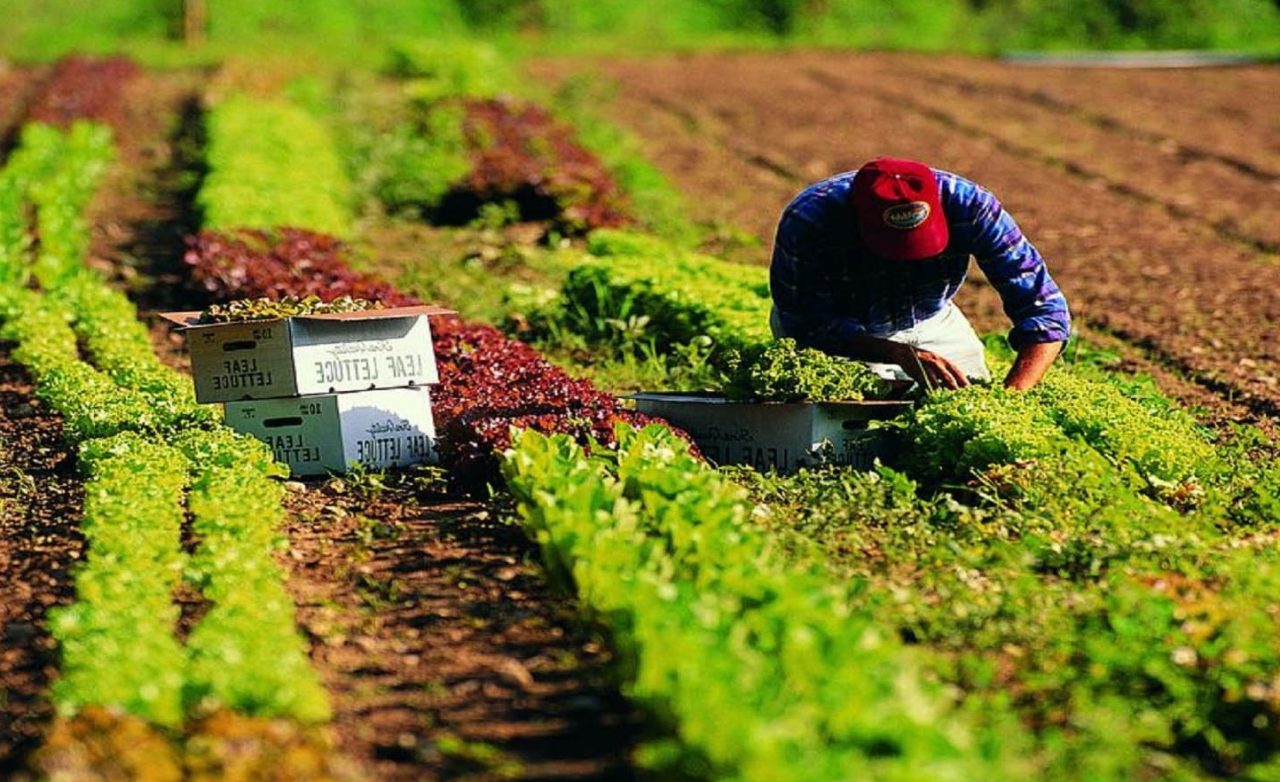 Lavori redditizi senza laurea: cosa conviene fare?
