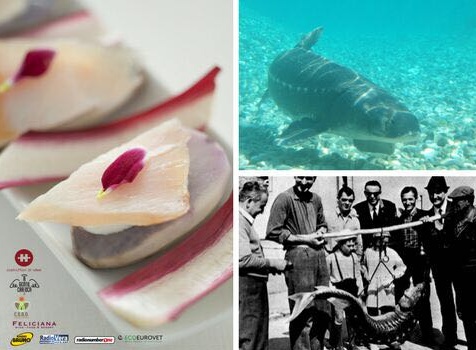 Lo storione, protagonista della serata di beneficenza