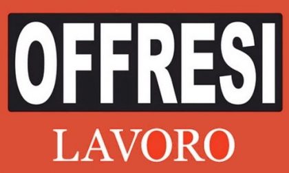 Lonato: possibilità di assunzione in azienda