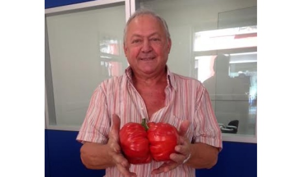 Luigi e i suoi «cuore di bue» da record