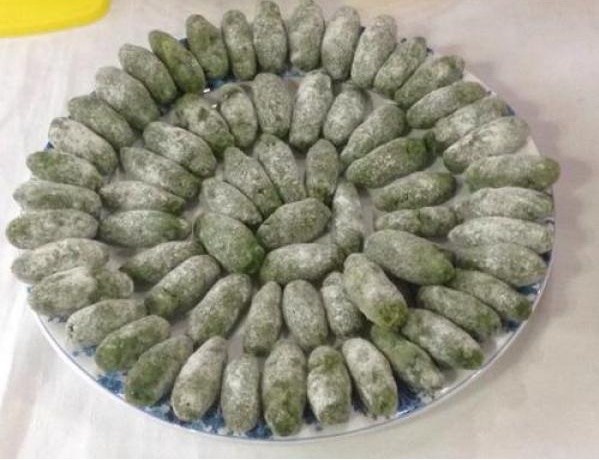 Malfatti: quando l’amore per le proprie radici attraversa l’oceano