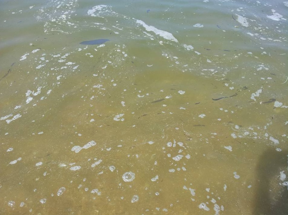 Maxi depuratore:per ora meglio agire in autonomia