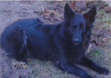 Miccy, chi ti ha ucciso?