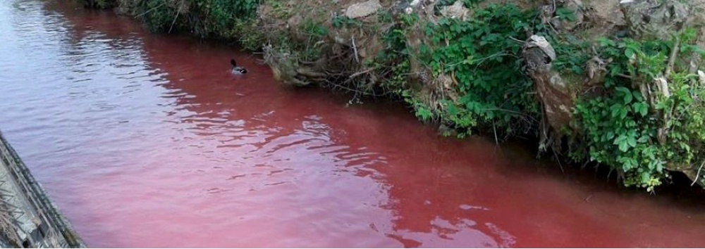 Mistero sul fiume: le acque si tingono di rosso