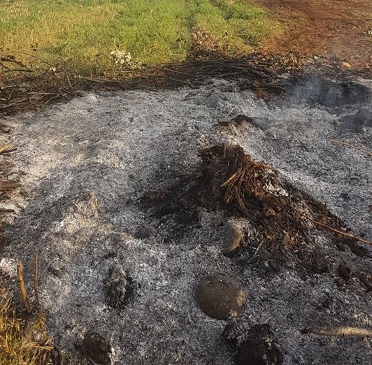 Molestie olfattive: roghi nei campi