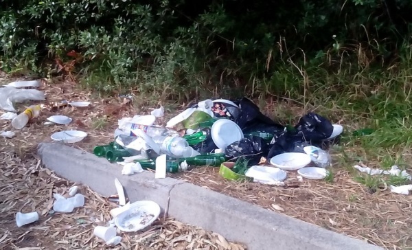 Sono 100 le tonnellate di rifiuti abbandonati