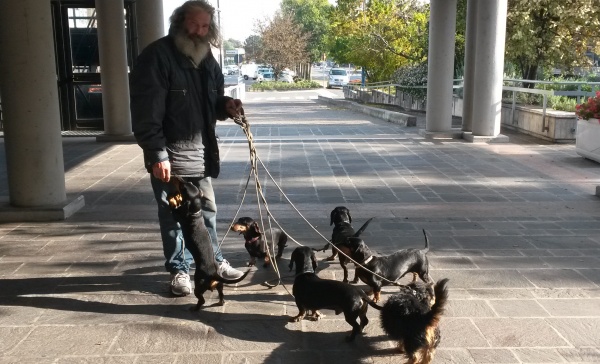 Montichiari, «Aiutiamo Giancarlo e i suoi cani»