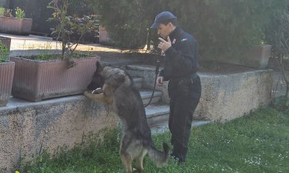 Montichiari, arrestato spacciatore 42enne