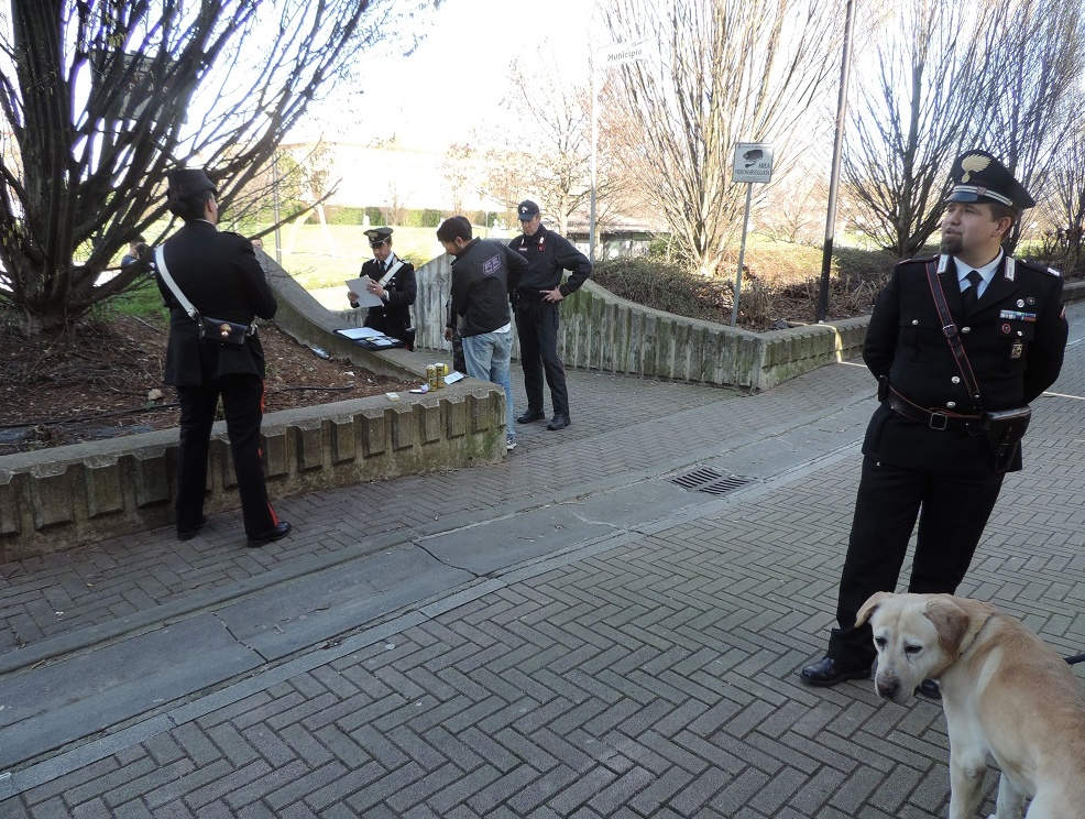 Montichiari, sgominata banda di “predoni”