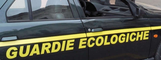 Montichiari: verifiche sulla moria di pesci