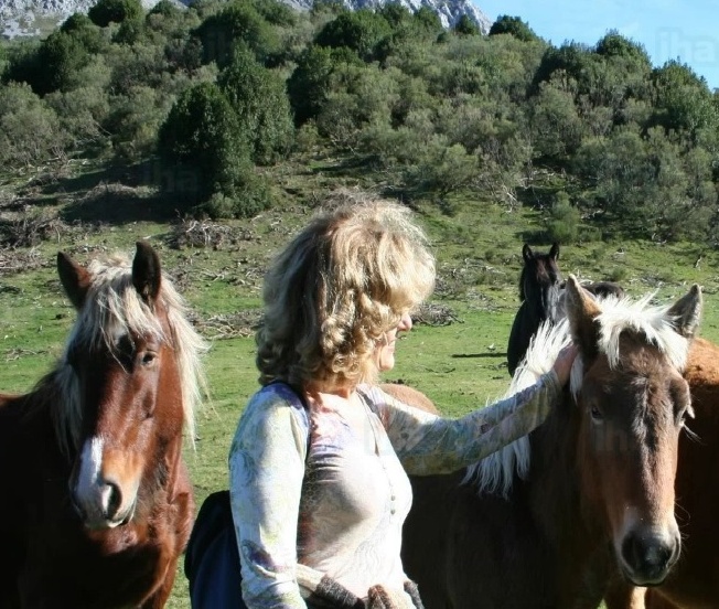 NUOVI LOGHI PER OSTELLI, BED&BREAKFAST E RIFUGI