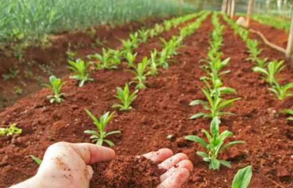 Nuovo contratto per gli agricoltori di Brescia