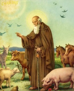 Oggi SANT’ANTONIO ABATE. Buon onomastico!