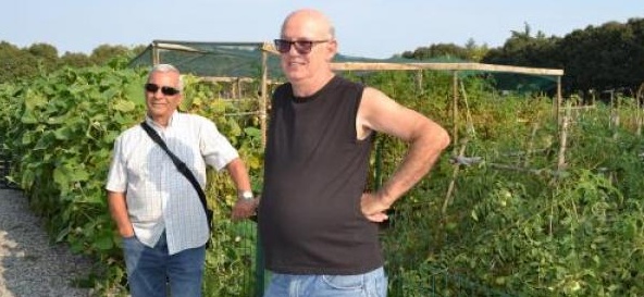 Orti sociali: tra frutti e spine