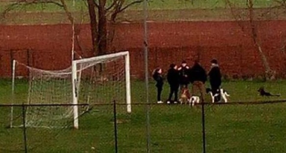 Padroni irrispettosi: portano i cani nelle aree di divieto