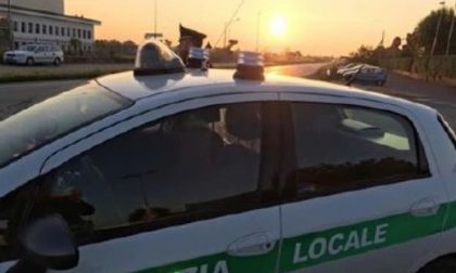 Paura in biblioteca: proiettile contro il vetro