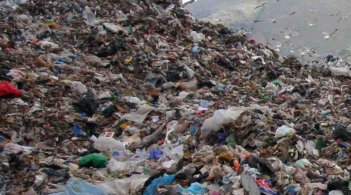 Flash Mob M5S a Castiglione delle Stiviere