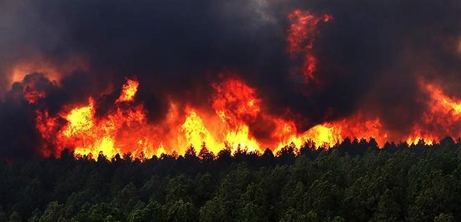 Preso il piromane della Valcamonica, ha 23 anni