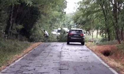 Prot Civ di Castenedolo al lavoro dopo il maltempo