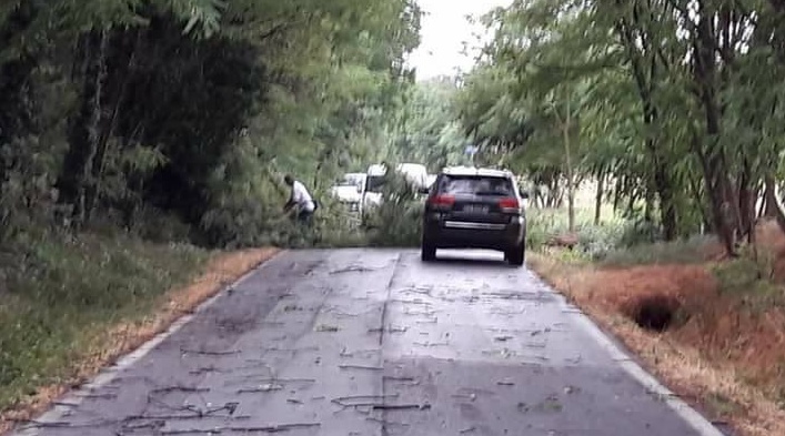 Prot Civ di Castenedolo al lavoro dopo il maltempo
