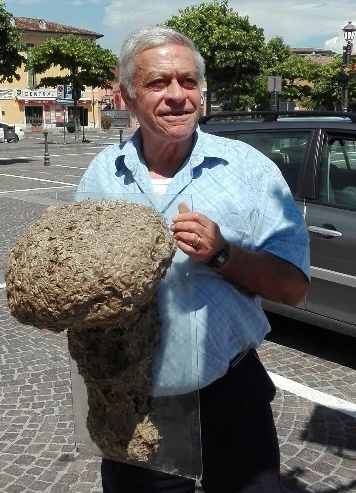 Quando la natura diventa arte