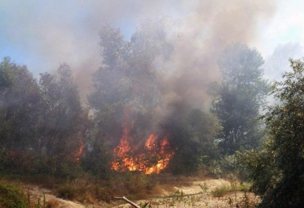 Lago di Garda, allerta arancione rischio incendi boschivi