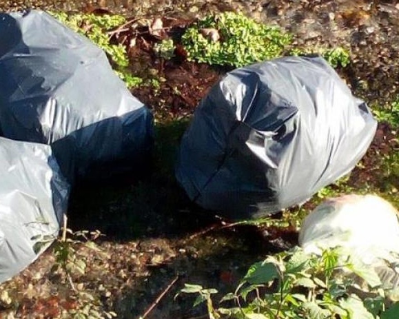 Ravere ridotta a discarica e il Comune se ne lava le mani