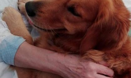 Riprendono gli appuntamenti con la Pet Therapy alla casa di riposo