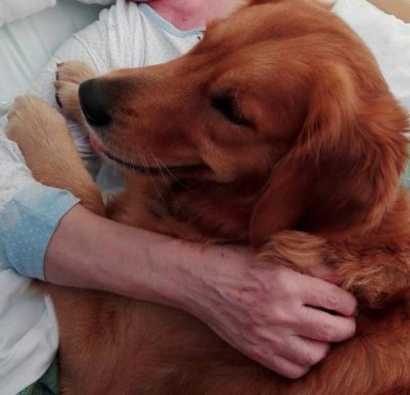 Riprendono gli appuntamenti con la Pet Therapy alla casa di riposo