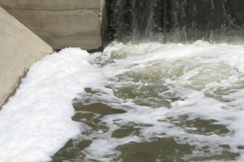 Schiuma e moria di pesci: fiume inquinato