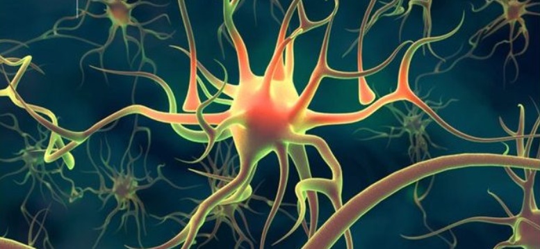 Scoperti i neuroni della calma, basta respirare come nello yoga