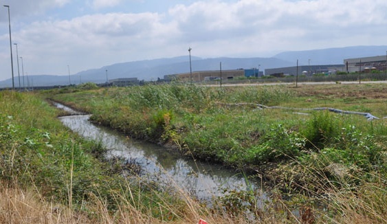 Segnalazioni a Montichiari: liquami nei campi