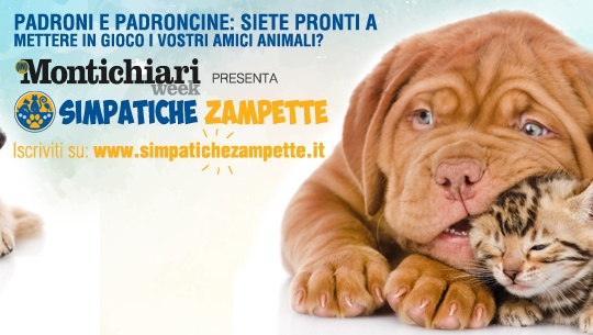 Simpatiche Zampette, ultimi giorni per votare il preferito