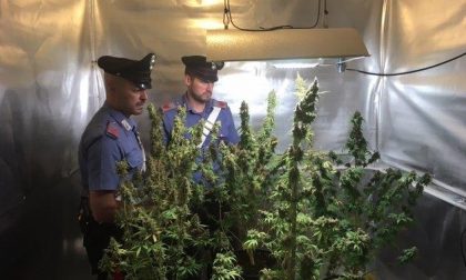 Spaccio di droga: due uomini in manette