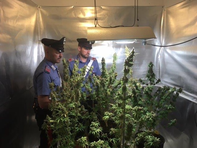 Spaccio di droga: due uomini in manette