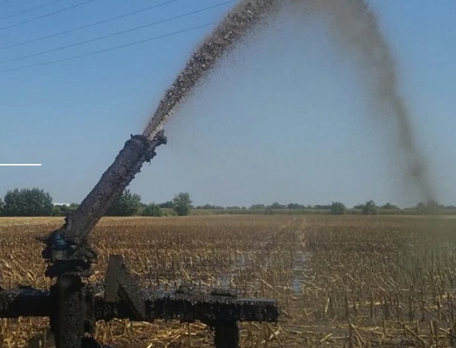 Allevamenti e Coronavirus: l’inchiesta di Report a Montichiari