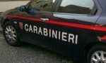 Topi d'appartamento a Castiglione delle Stiviere