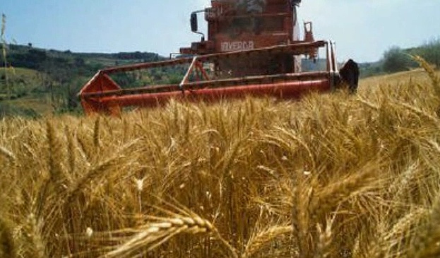 Travolto dal trattore del fratello mentre riposa nel campo