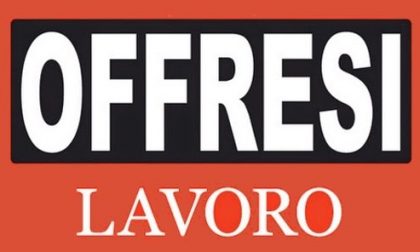 Trenord: nuove assunzioni entro il 7 novembre