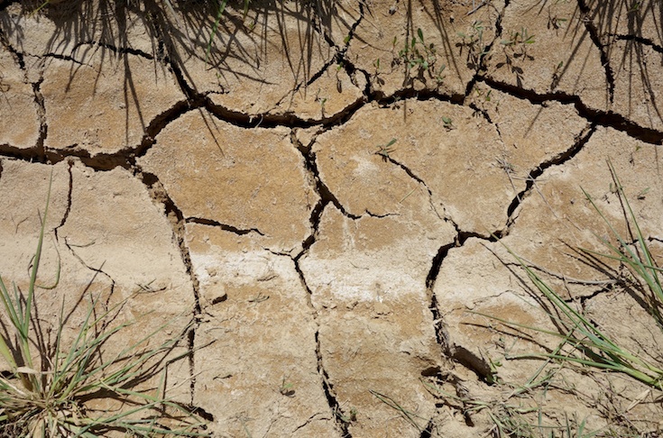 Troppo caldo: i terreni soffrono