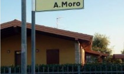 «Tu che alimenti i gatti con il veleno, vergognati!»