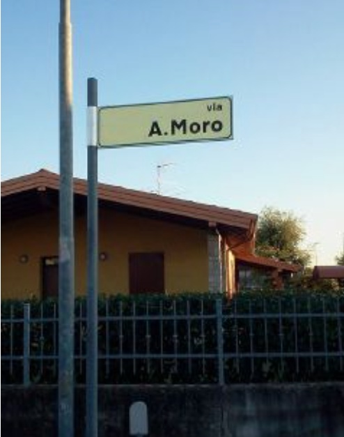 «Tu che alimenti i gatti con il veleno, vergognati!»